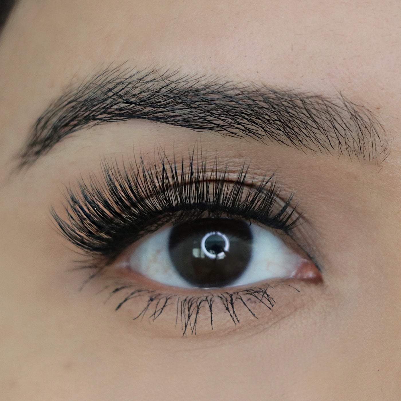 theBalm Big Fan Lashes- STAR STRUCK (Dramatic)-theBalm-Brand_theBalm,Collection_Makeup,Makeup_Eye,Makeup_Faux Lashes,theBalm_Eyes